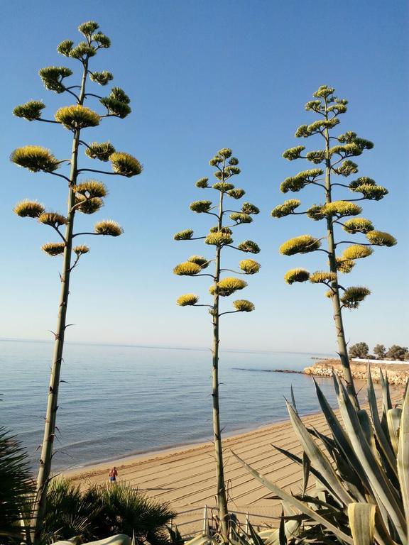 Villa Del Mar Avola Kültér fotó